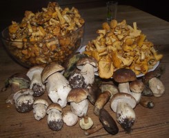 DSCF1296A-7