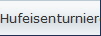 Hufeisenturniere
